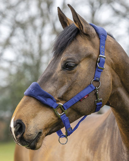 Lemieux Vouge Halter with Lead Rope