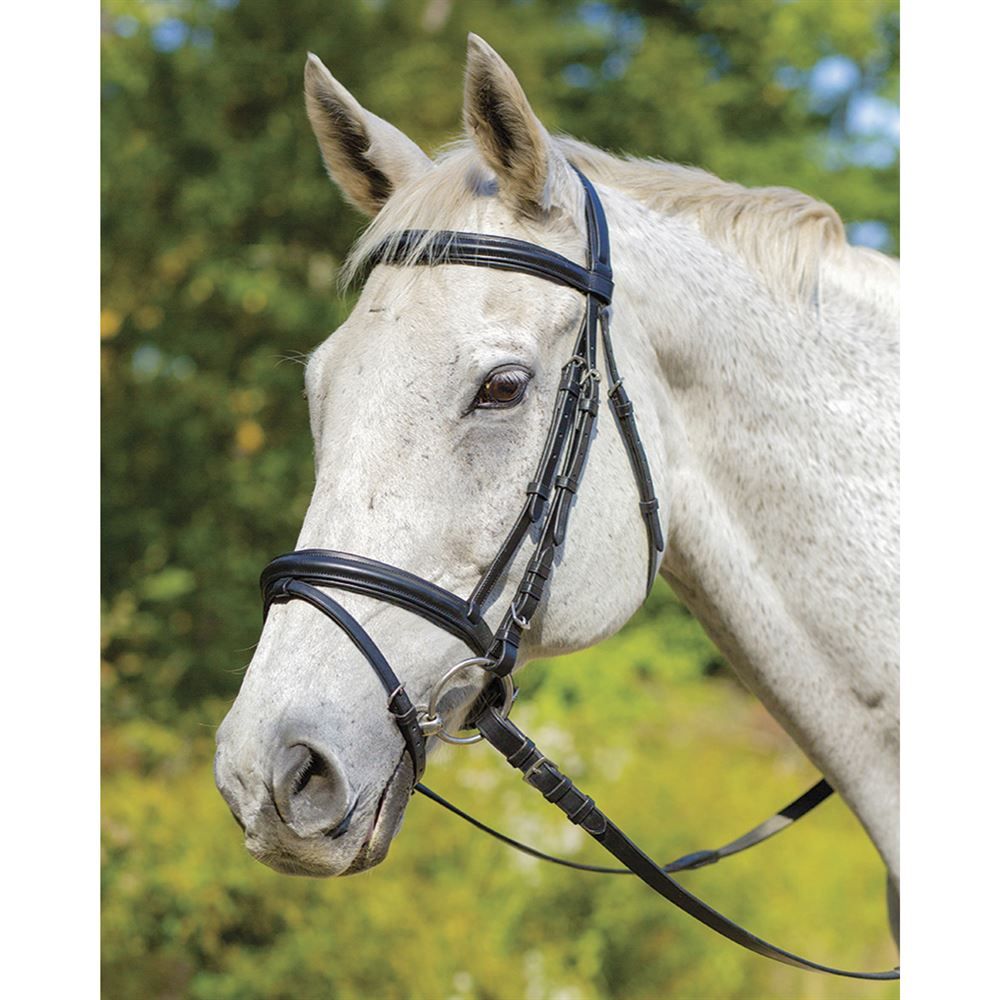 Avington Louisville Bridle