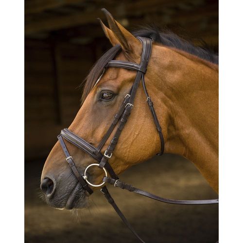 Avington Louisville Bridle