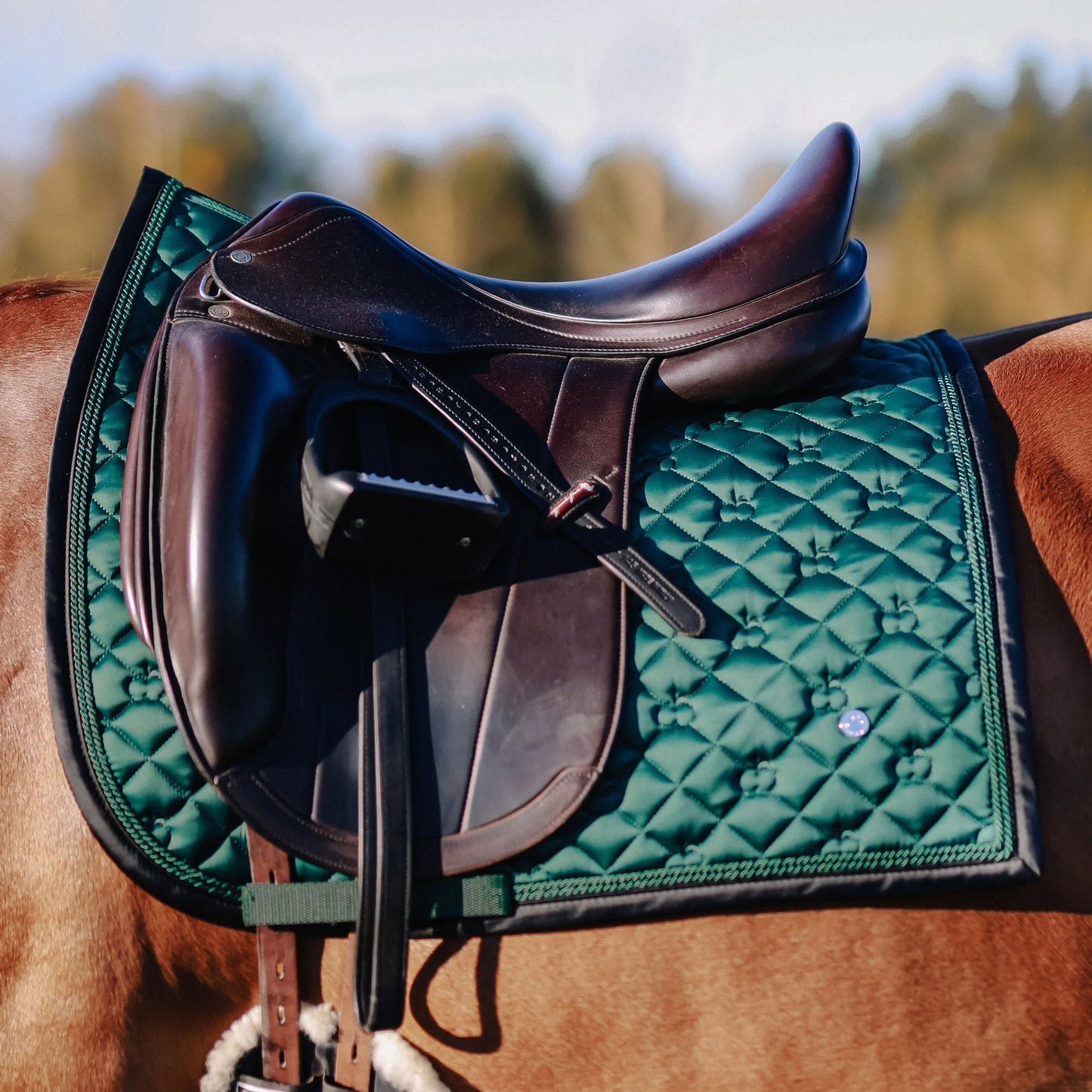 DB Dressage Pad