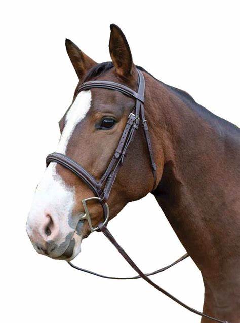 Avington Ocala Bridle